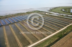 Marais Salants a l estuaire du chenal de Brouage 17