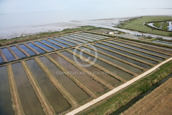 Marais Salants a l estuaire du chenal de Brouage 17