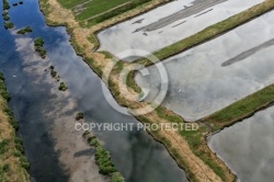 Marais salants de Brouage - Charente Maritime