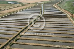 Marais salants de Brouage - Charente Maritime