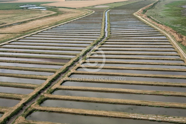 Marais salants de Brouage - Charente Maritime