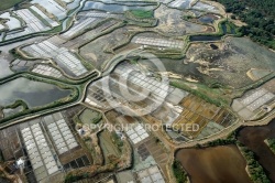 Marais Salants de Guérande , La Turballe vue du ciel