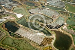 Marais salants de Guérande vue du ciel