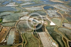 Marais salants de Guérande vue du ciel