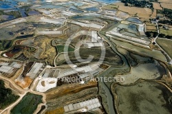 Marais Salants de Guérande , La Turballe vue du ciel