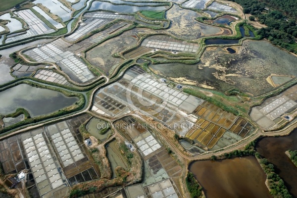 Marais Salants de Guérande , La Turballe vue du ciel