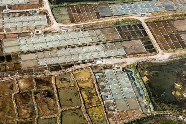 Marais Salants de Guérande, Batz-sur-Mer vue du ciel