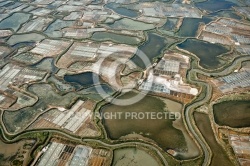 Marais salants de Guérande vue du ciel