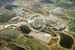 Marais salants de Guérande vue du ciel