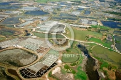 Marais salants de Guérande vue du ciel