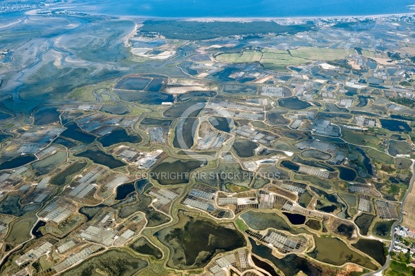 Marais salants de Guérande vue du ciel