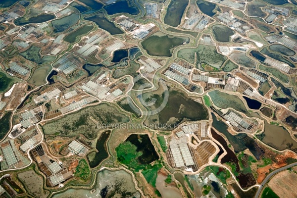 Marais salants de Guérande vue du ciel