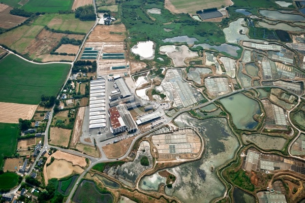 Marais salants de Guérande vue du ciel