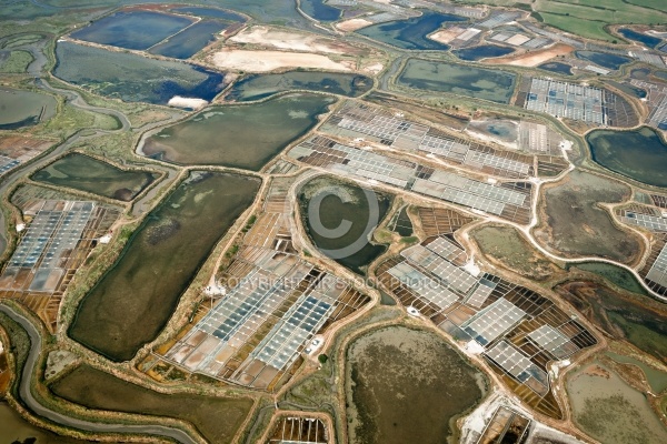 Marais salants de Guérande vue du ciel