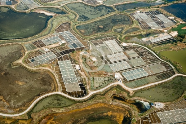 Marais salants de Guérande vue du ciel