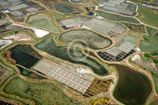 Marais salants de Guérande vue du ciel