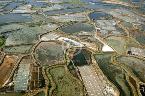 Marais salants de Guérande vue du ciel