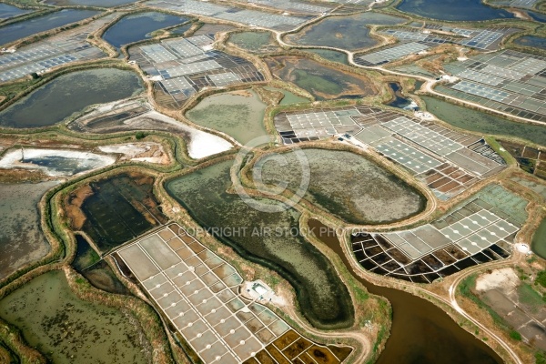 Marais salants de Guérande vue du ciel