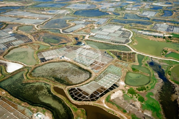 Marais salants de Guérande vue du ciel