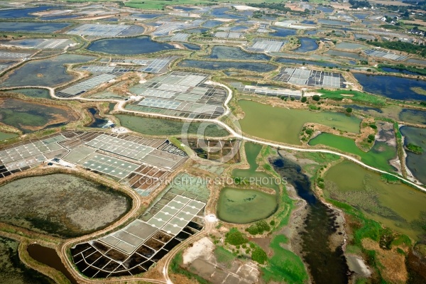 Marais salants de Guérande vue du ciel