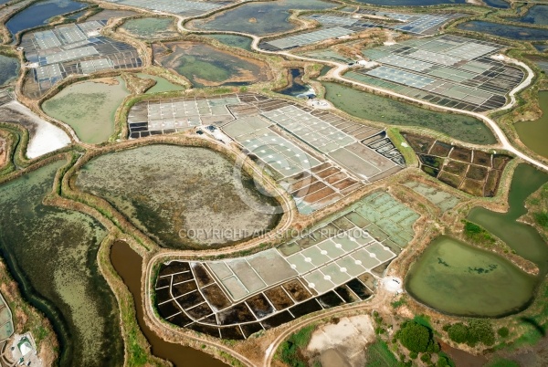 Marais salants de Guérande vue du ciel