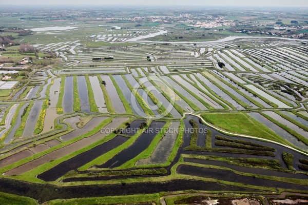 Marais salants de la Vie vue du ciel