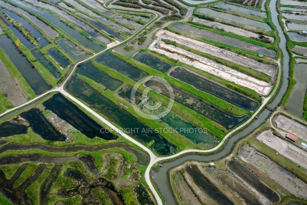 Marais salants de la Vie vue du ciel