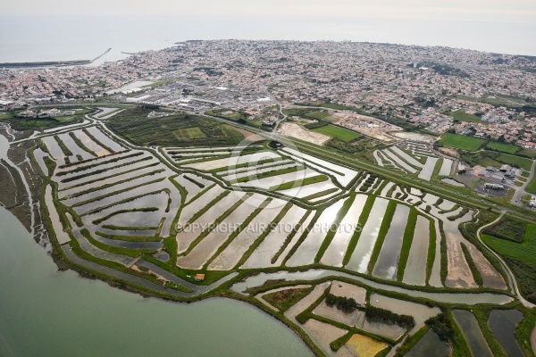 Marais salants de la Vie vue du ciel