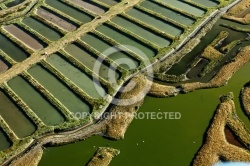 Marais salants de Marennes vue du ciel