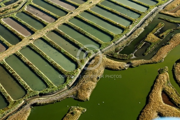 Marais salants de Marennes vue du ciel