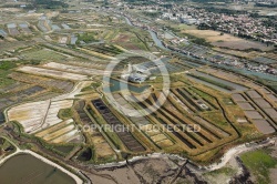 Marais salants de île-d Oléron vue du ciel