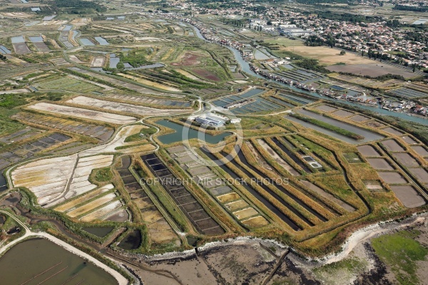 Marais salants de île-d Oléron vue du ciel