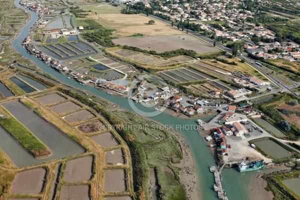 Marais salants de île-d Oléron vue du ciel