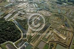 Marais salants Dolus-d Oléron vue du ciel