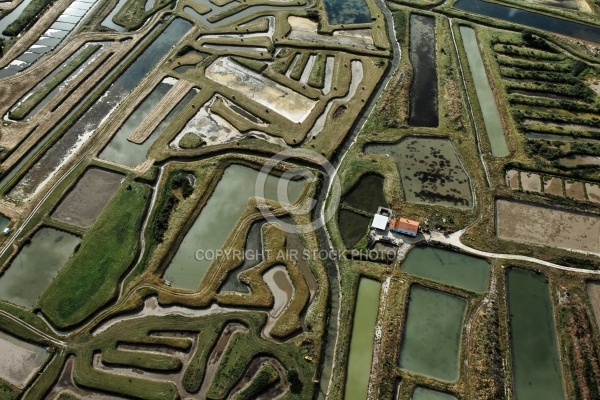 Marais salants Dolus-d Oléron vue du ciel