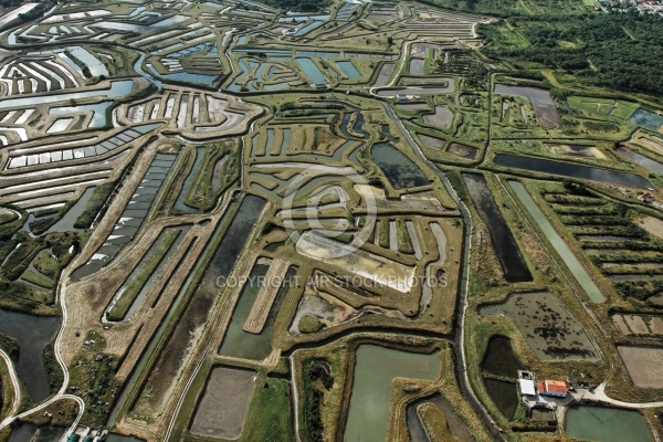 Marais salants Dolus-d Oléron vue du ciel