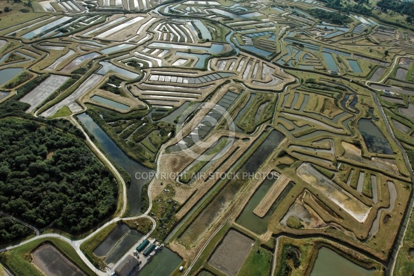 Marais salants Dolus-d Oléron vue du ciel