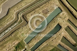 Marais salants du videau à Dolus-d Oleron