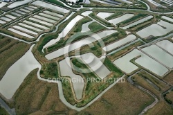 Marais Salants et parcs a Huitres du pays de Marennes 17