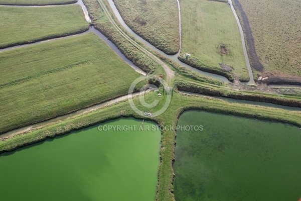 Marais vendéen 85, Pays de loire