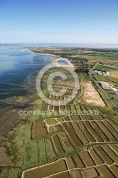 Marennes Plage 17 Marennes Plage 17