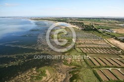Marennes Plage 17 Marennes Plage 17
