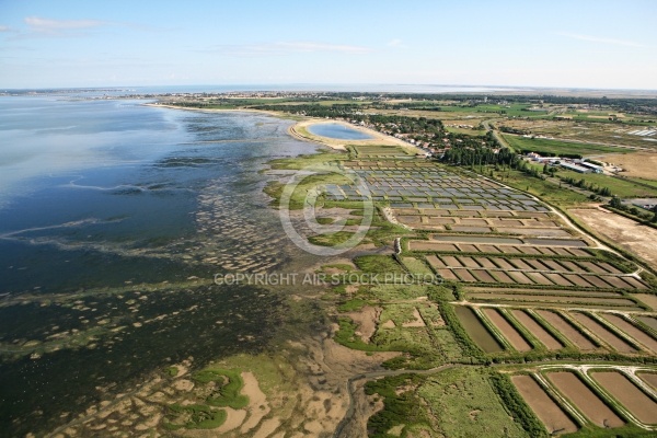 Marennes Plage 17