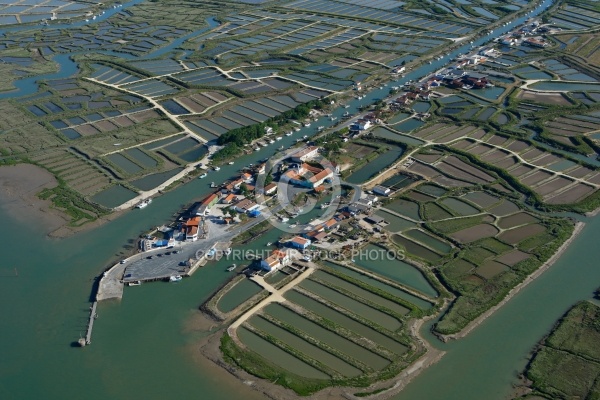 Marennes, port ostréicole de la Cayenne, Charente-Maritime 17