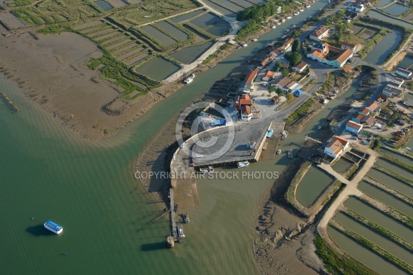 Marennes, port ostréicole de la Cayenne, Charente-Maritime 17