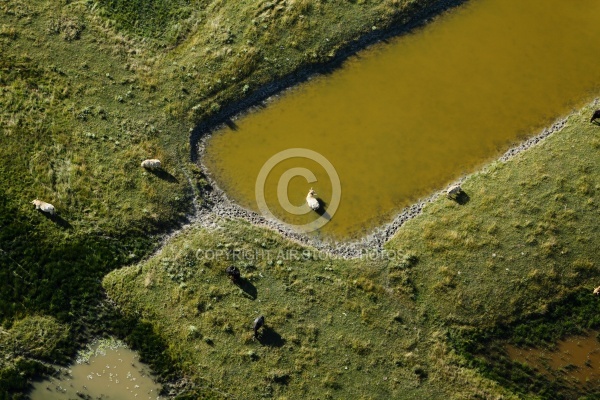 Maris de Hiers-Brouage vue du ciel