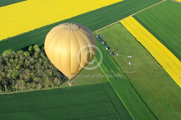 MontgolfiÃ¨re et champs de colza