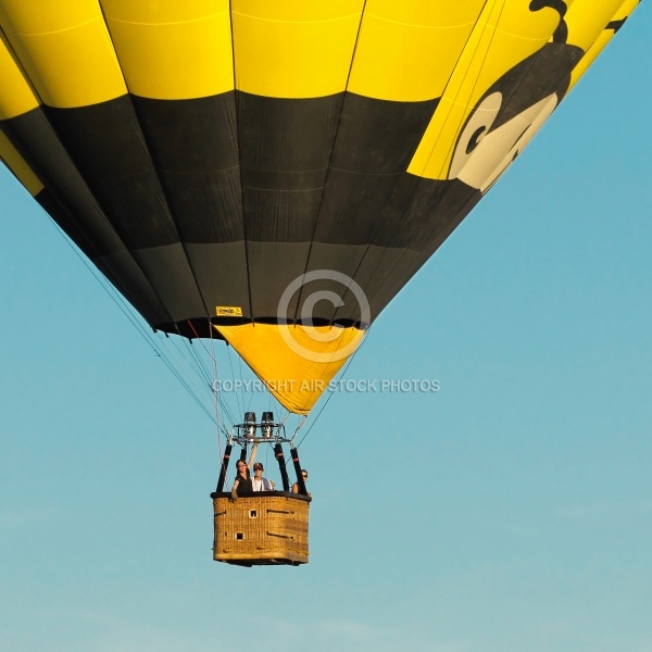 Montgolfière en Indre-et-Loire