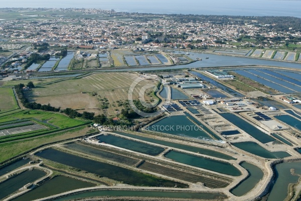 Noirmoutier-en-l Île, vendée 85