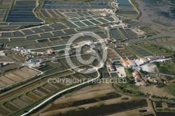 Ostréiculture à Bourcefranc-Le-Chapus , Charente-Maritime 17